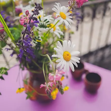 Cozy By Interlaken. Parking Ringgenberg