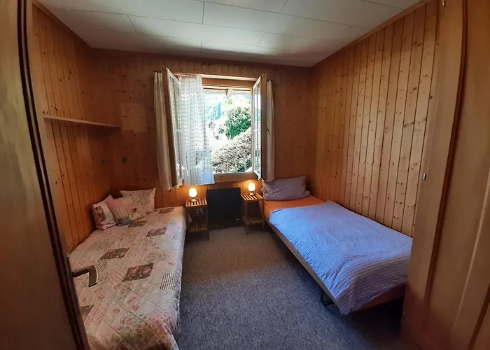 Cozy By Interlaken. Parking * 里根伯格